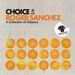 Roger Sanchez - Choice
