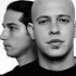 Infected mushroom