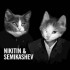 Nikitin & Semikashev: ������ ������ ����� � �� ������������ � �������������� ��������