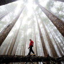 National Geographic: ���������� ������
