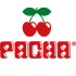 Worldwide Pacha 