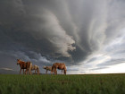 National Geographic: ���������� ������