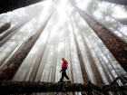 National Geographic: ���������� ������