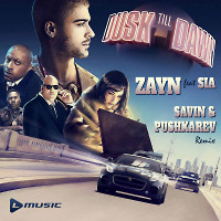 ZAYN - Dusk Till Dawn ft. Sia (SAVIN & PUSHKAREV remix) (radio edit)