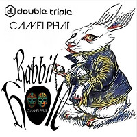 Rabbit Hole Melodic House Mix