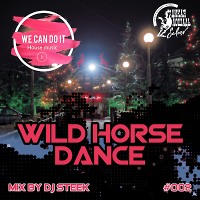 WILD HORSE DANCE - MIX BY DJ STEEK #002