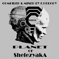 Planet Of ShelezyakA #009