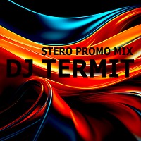 Dj Termit - Stero (Mash Up mix)