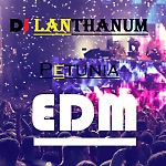 DJ LanThanum-Petunia