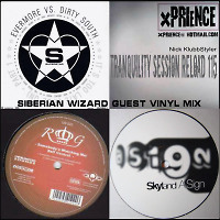 Tranquility Session - Siberian Wizard Guest Vinyl Mix